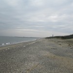 海