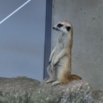 キレがとんでもない