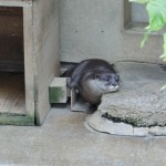 魅力がありあまる