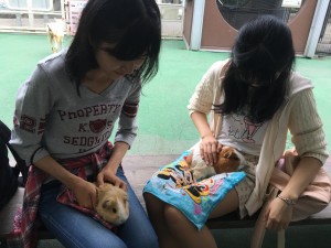 食まれることも良い経験