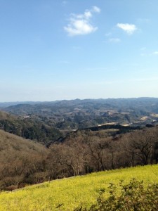 爽やかな秋の一日。