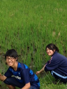 安全を確保すること