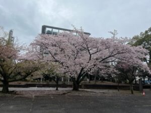 裁判傍聴イベント