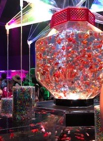 夏休みの計画、立て始めましょう!
