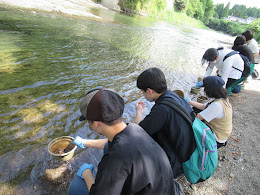 夏休み目前！７月の予定☆