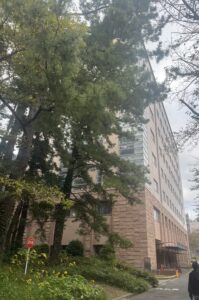行きたい大学の過去問を見てみよう！