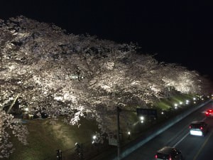 人との繋がり・・・