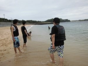 今日は七夕