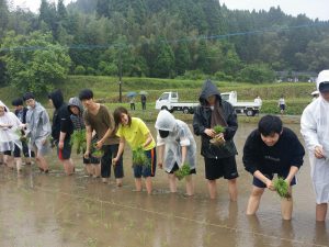 田植え