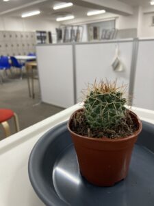 第６回　在校生インタビュー😋