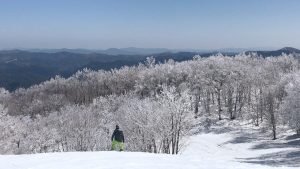 冬休みに向けてやること。