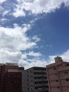 台風が去って