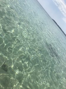 サマースクール②