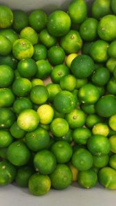 季節が変わっていきますね