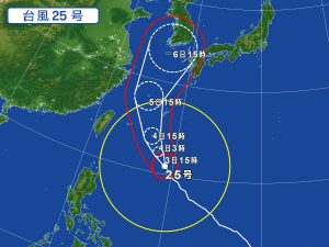 ちょっとした疑問と青年期の課題