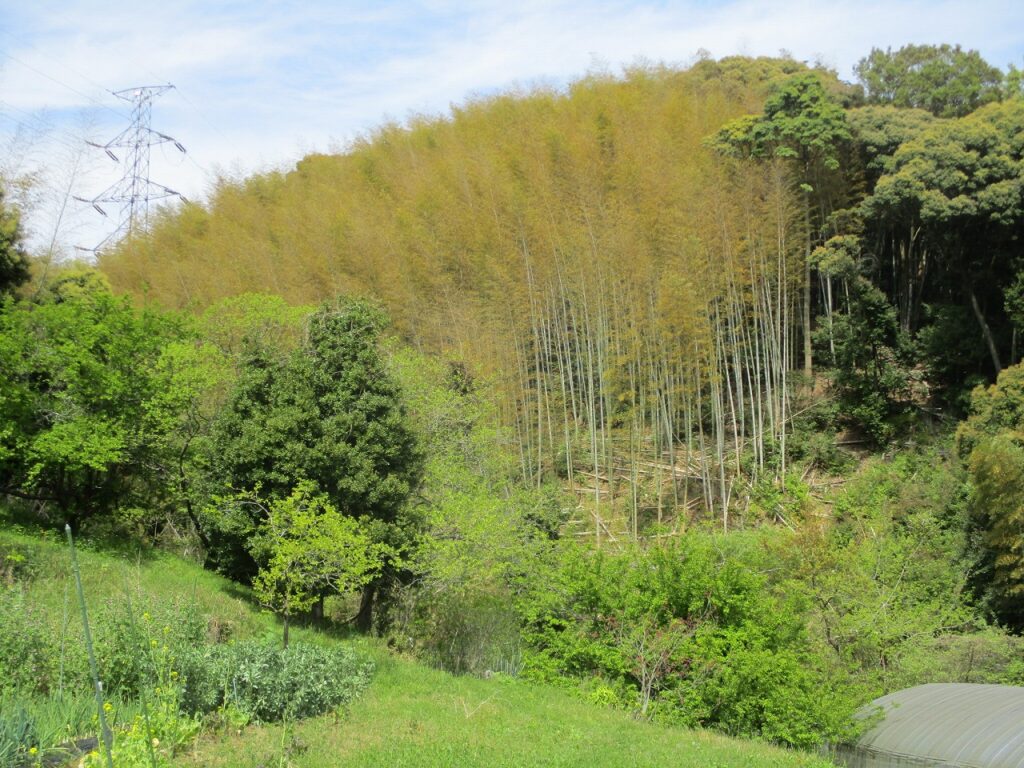 私の気分がとっても良い瞬間