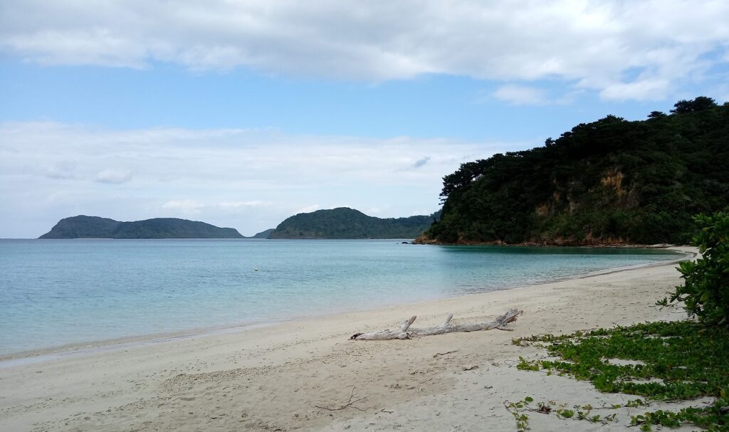 夏は海の季節