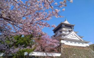 春は桜と筍と・・・