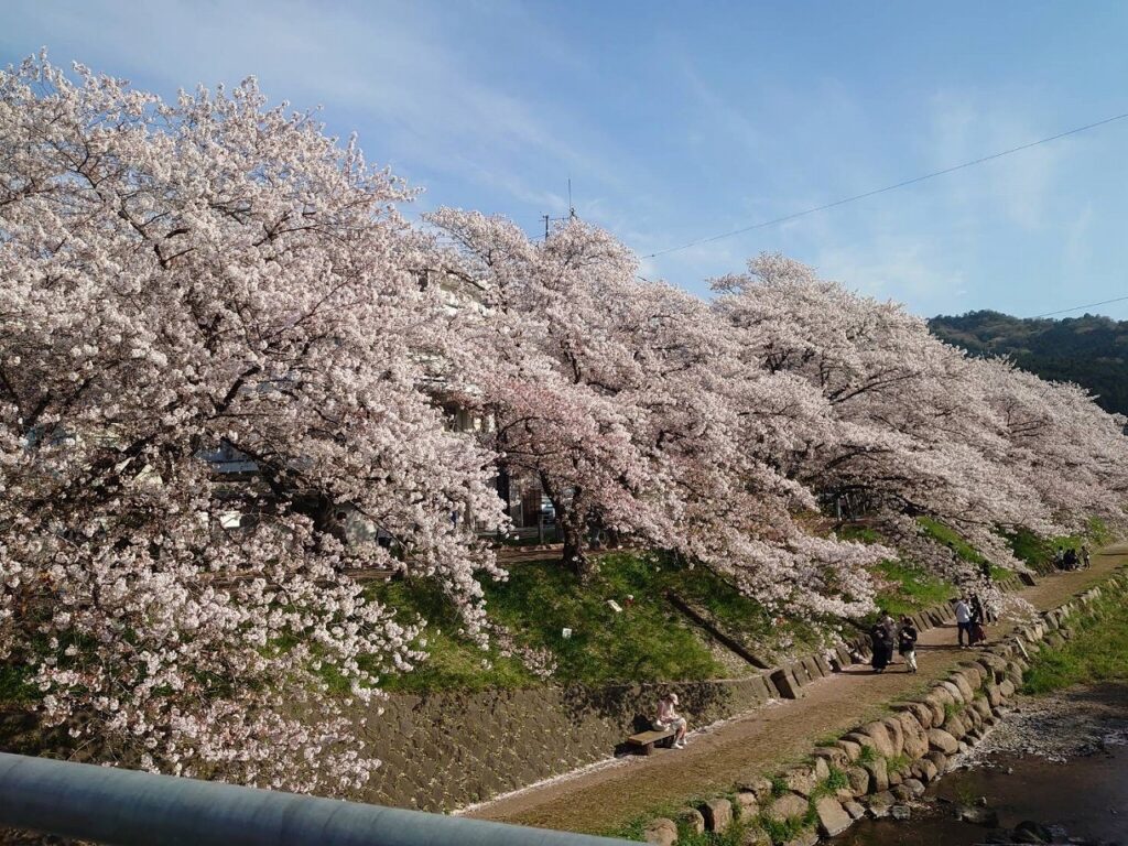 【新入生必見ブログ】焦らないで！自分のペースで(^^)/