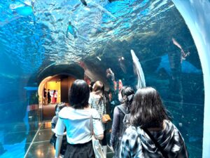 【北九州・小倉 通信制高校】～夏休み終わり～進路はどうやって決めたらいい？｜キャンパス通信9月号☆