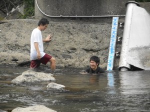 rice planting