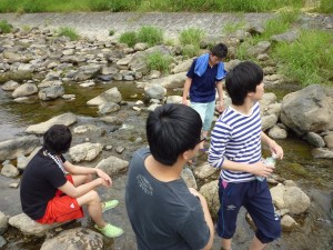 田植えの後は