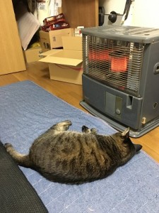 うれしいことは千倍に