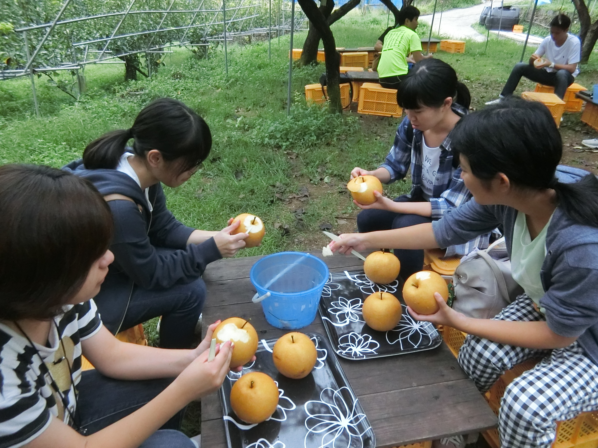 イベントの案内と、これからの半年間。