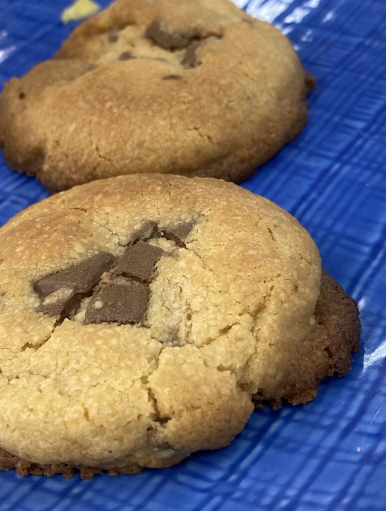 🍵お茶とクッキーでほっと一息。熊本キャンパスのお茶会