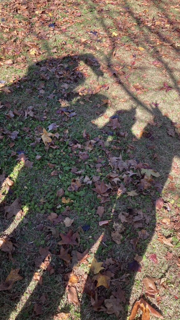 ≪一ツ葉高校熊本キャンパス≫卒業生インタビュー！vol.7