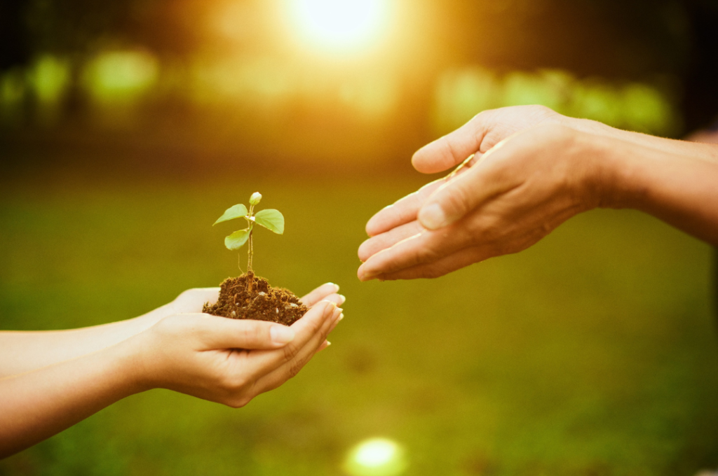 【熊本 通信制高校】公立前期の結果を受けて、進路に迷う保護者の方へ