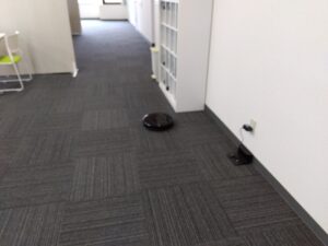 新しい仲間!?