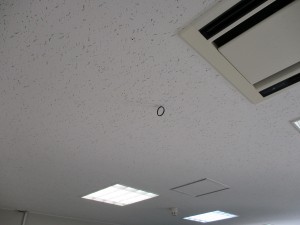 面白い出来事