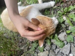 単位認定試験を終えて