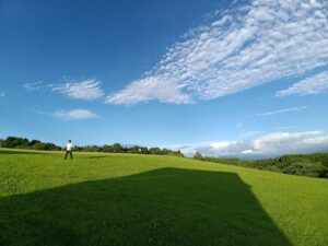 夏が過ぎハサミムシ