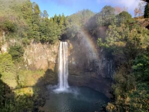 一ツ葉高校　横浜キャンパス