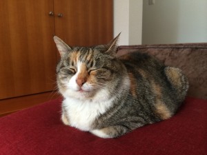 2016年初ブログ