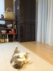 TOEIC