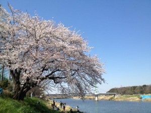 地元の見どころ