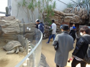 歩く速度は人間の1/15なんだとか