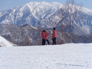 自然or都会