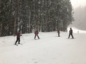 雪、降ったね。すっごい降ったね。