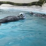 夏の思い出は永遠に☆