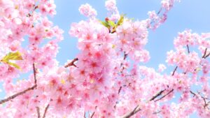 SMART法で目標達成！春からの学習プランを立てよう