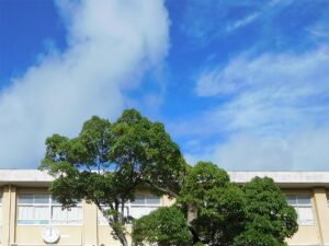 夢を諦めない！通信制高校で自分らしい高校生活を送ろう！